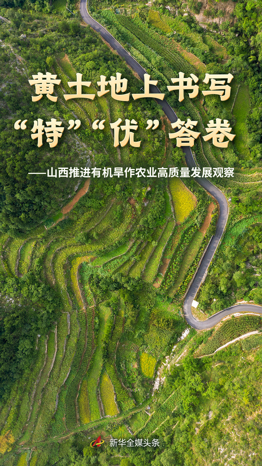 关于28圈 - 28圈